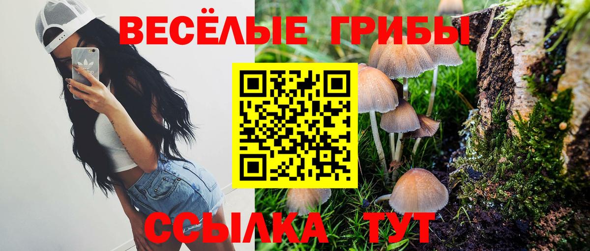 Галлюциногенные грибы Psilocybine cubensis  Вход с VPN  Елабуга 